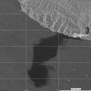 Разлив нефти в районе Новороссийска