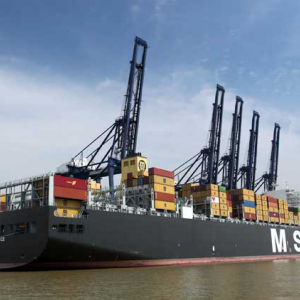 Lomonosov Cargo Terminal in St. Petersburg